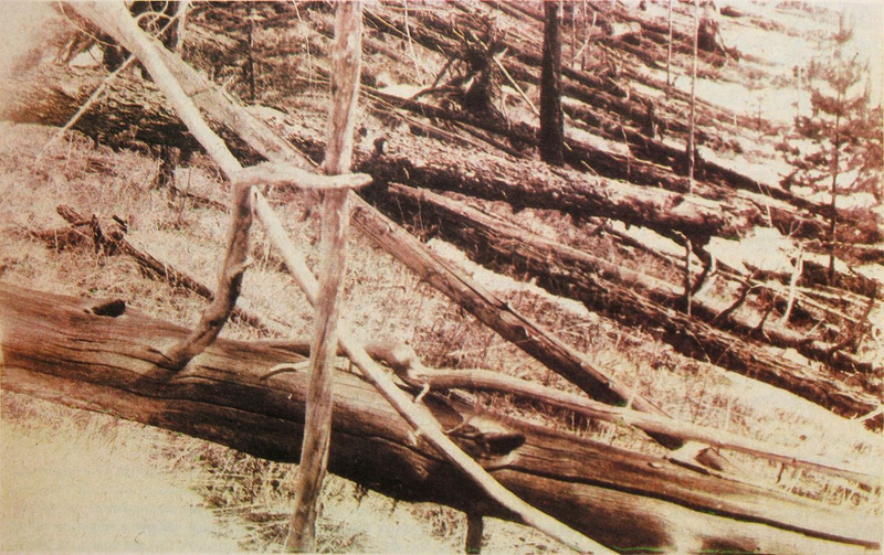 Imagen tomada en la expedición de Kulik en 1929. Wikimedia Commons